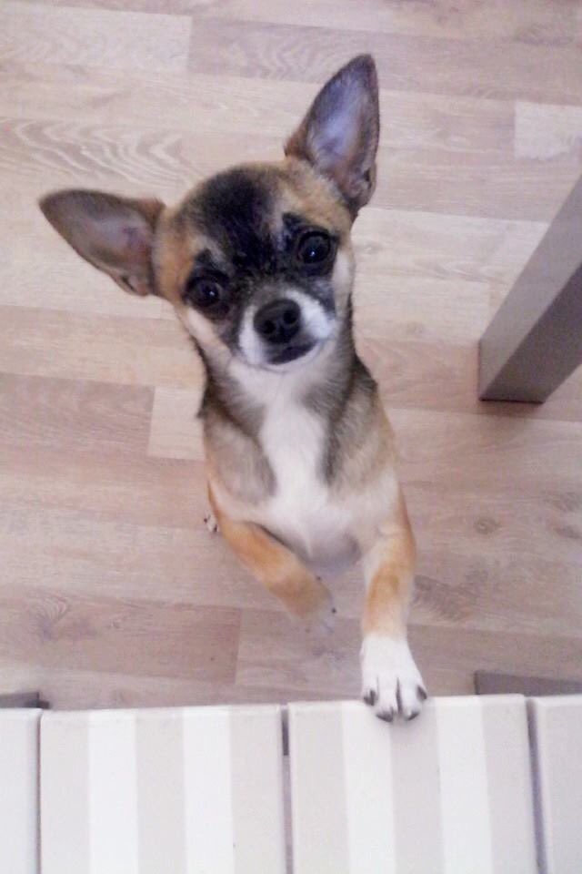 taskTideES's tweet photo. Feliz Lunes guapos y guapas!! https://t.co/8dFV87sAy0