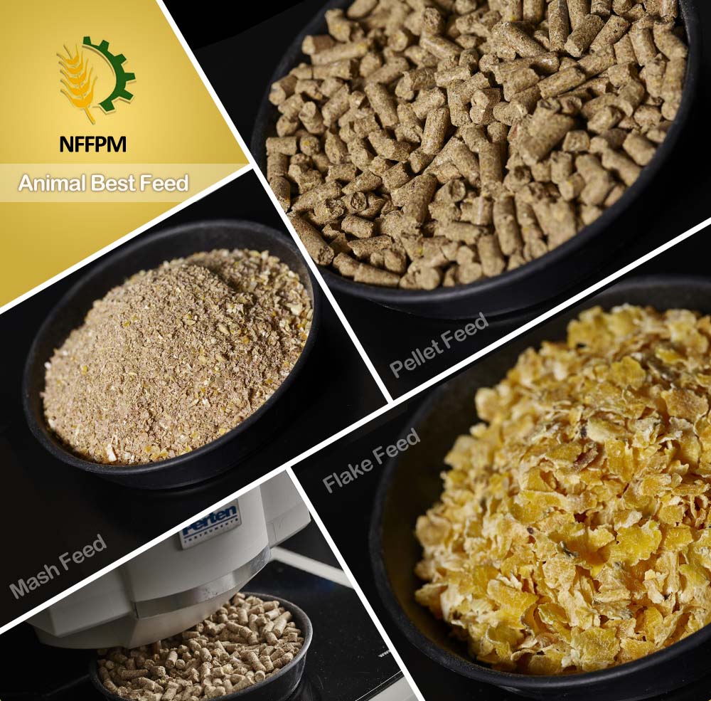 nffpm_social's tweet photo. Feed your animal with best nffpm feed. #nffpm #AnimalFeed #animalhealth #mashfeed #pelletfeed #flakefeed https://t.co/F77iSBkN7X