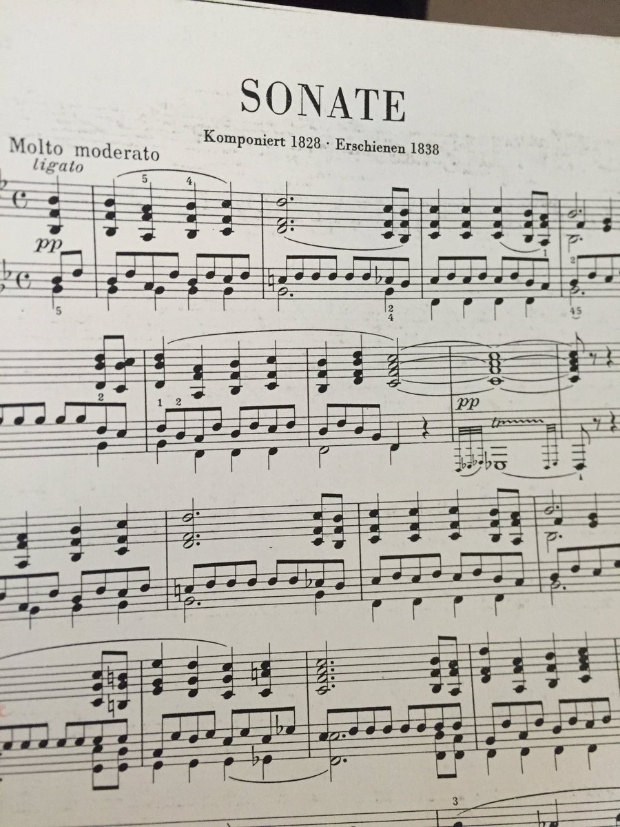 kristianchong's tweet photo. This Wed!!6pm Mar23 #SalonSolo #Schubert #Impromptus #D935 &amp; Sonata in B♭ #D960 @MelbRecital https://t.co/bAAQTXkmFM https://t.co/bTevS72ur7
