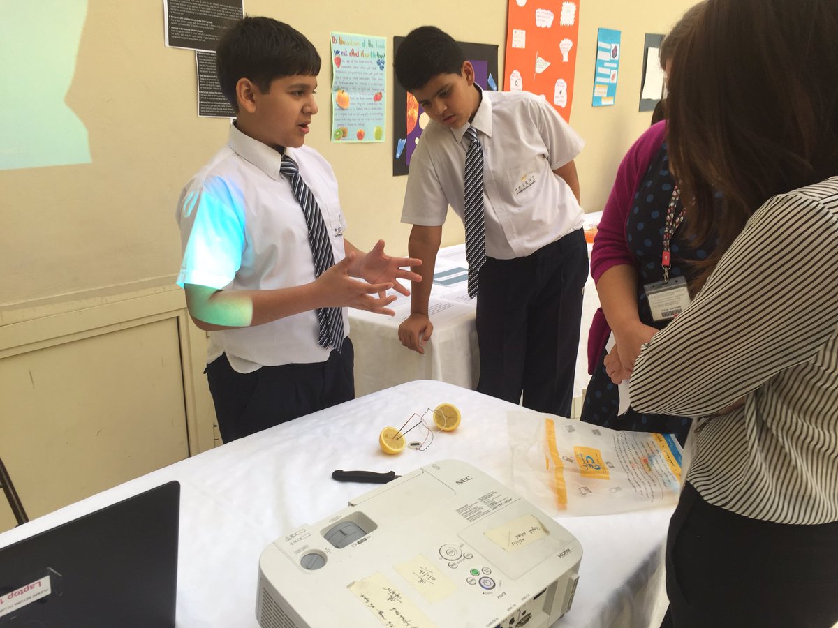 Head of Primary tweet media