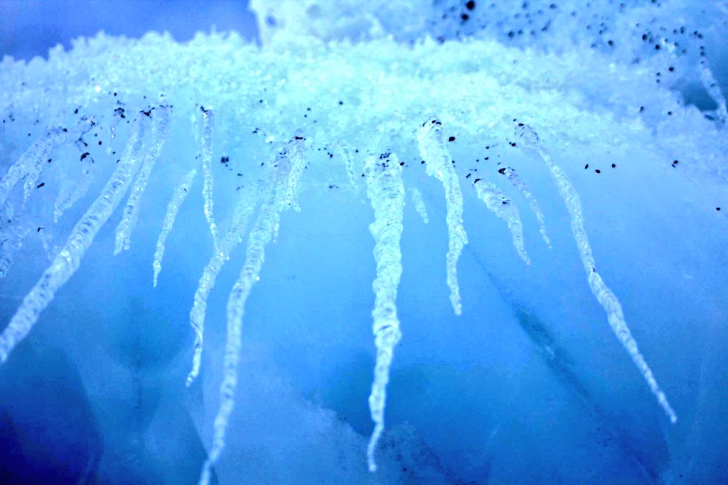 shelbyyyydawn's tweet photo. Alaska is like my best friend. Beautiful and unique ❄️ #goodbyealaska https://t.co/vcpAXeUKDH