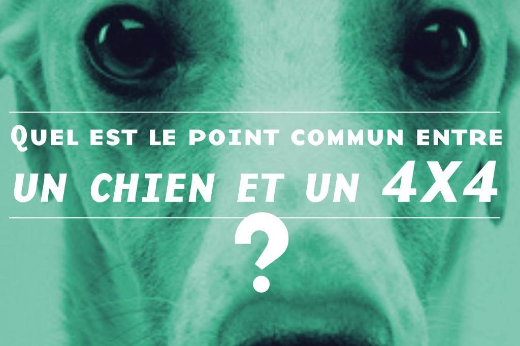 Lematinch's tweet photo. La vidéo écolo du lundi, épisode 4 #pollution #EVCT avec @LeilaRaspberry https://t.co/hG2VojEVid https://t.co/N6nRRo1mMh