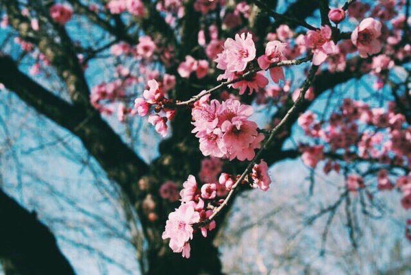 ÐÐ°ÑÑÐ¸Ð½ÐºÐ¸ Ð¿Ð¾ Ð·Ð°Ð¿ÑÐ¾ÑÑ Ð¼Ð°Ð¹