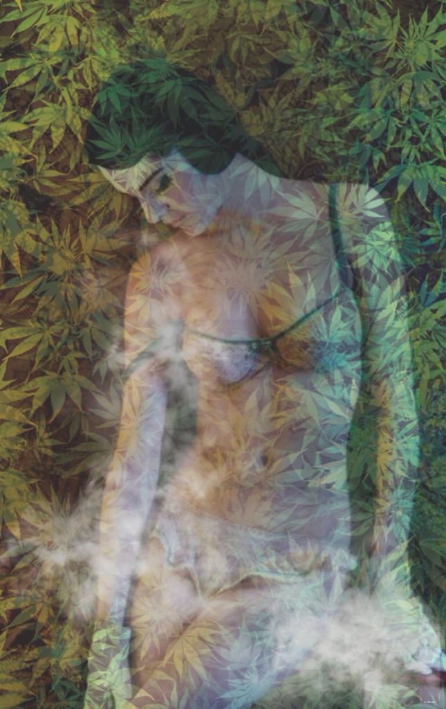 CanadianWeedWiz's tweet photo. Gotta give a shout out to @cywilll #CannabisART #voteforCY #TheHighGuy #highCanada https://t.co/ofDlfR5oBU https://t.co/VsdVWCIvW4