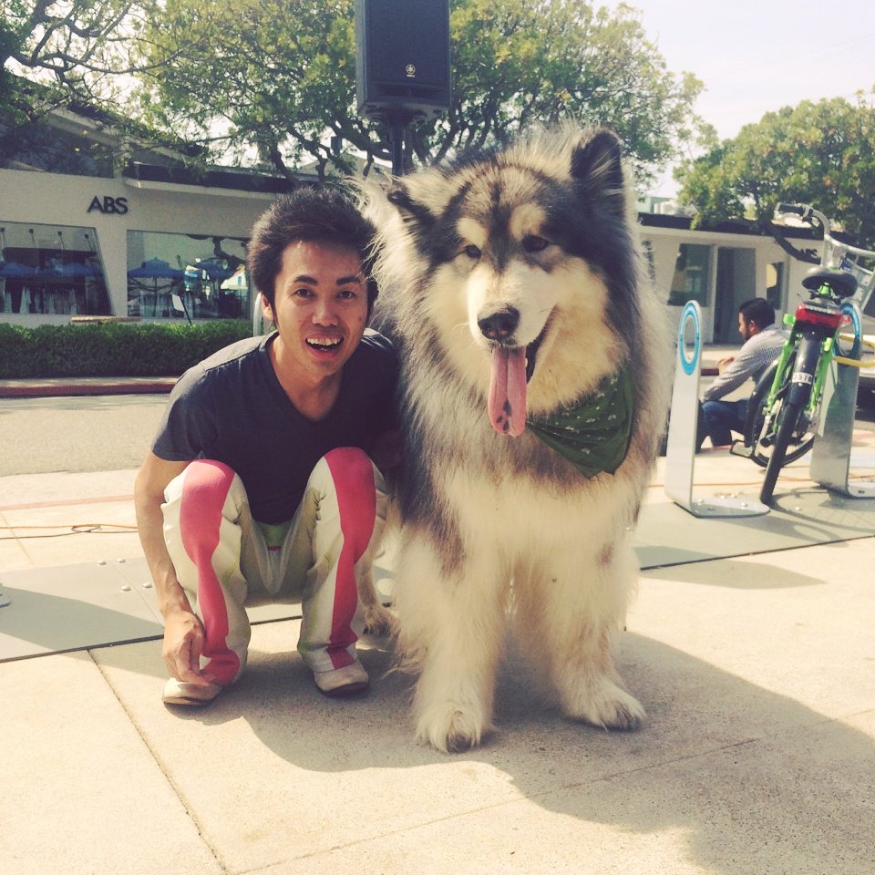 大きな犬 Twitter Search