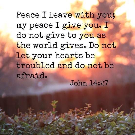 JoelCRosenberg's tweet photo. So grateful for all that Palm Sunday and Easter Sunday mean for me, my family, and all who will turn to Jesus Christ https://t.co/ce6vrn6HG9