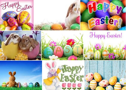 MaryPatricia67 tweet picture