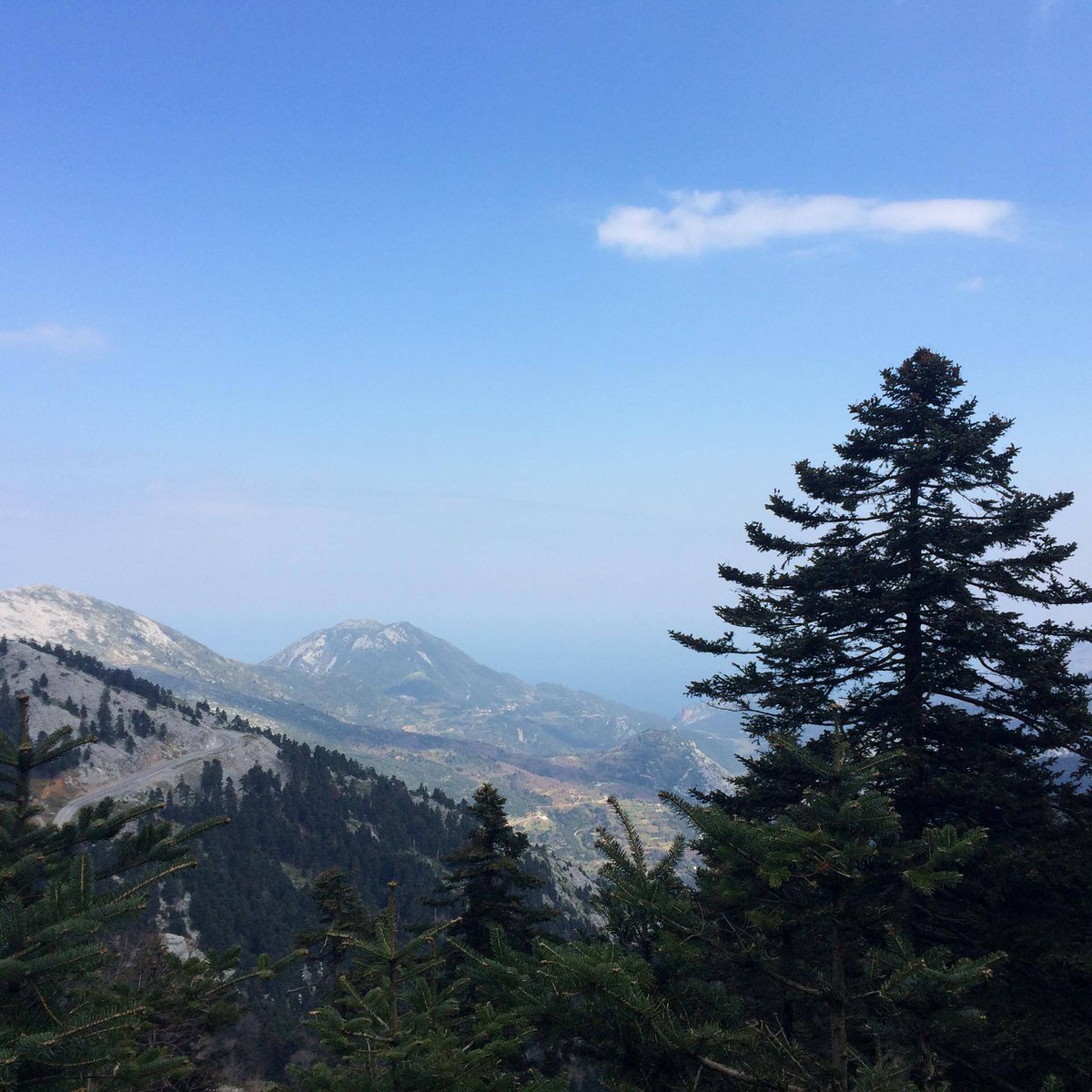 explore_evia's tweet photo. Back on the #mountain #trekking #day . The Combination of the #nature and the #aegean #sea is magnificent https://t.co/V8ANJoF69Y