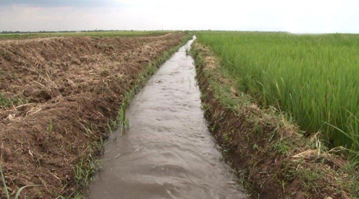 As a result of #GoodWaterManagement (Distribution channels) farmers in eastern Uganda can now have 2 crops per year