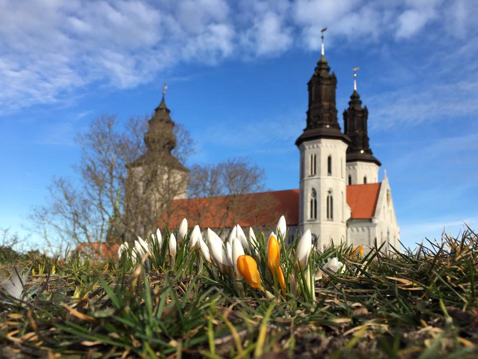 Visbydf's tweet photo. Idag fortsätter förberedelserna inför påsk.
#StillaVeckan #Påsk #VisbyDF #Påskensdrama @svenskakyrkan https://t.co/6yXyc51tuA