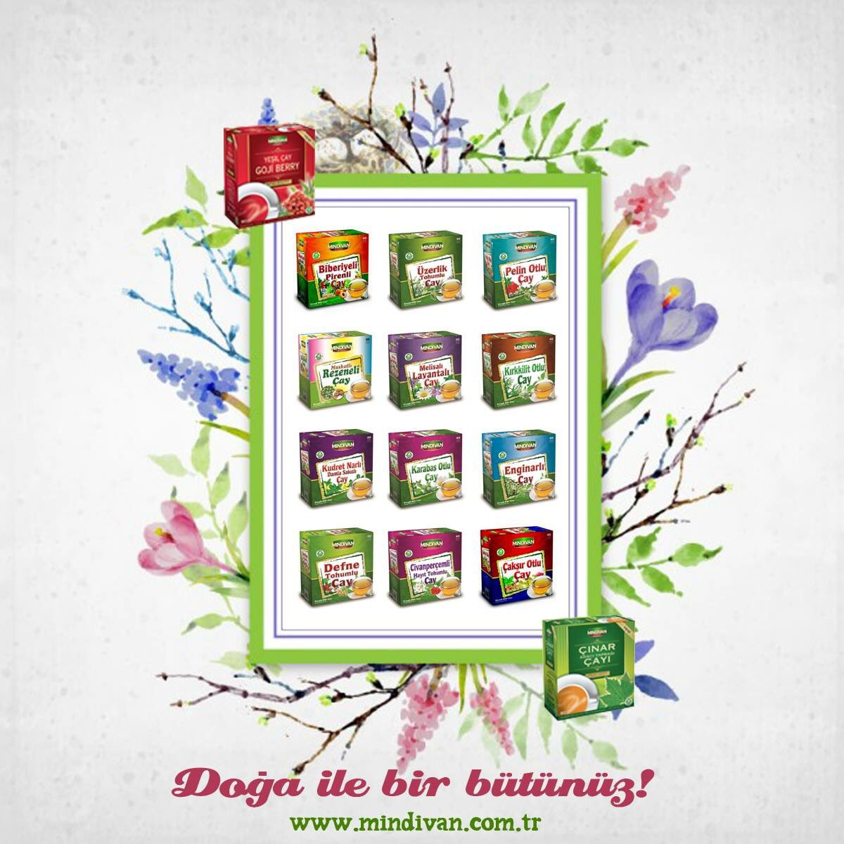mindivanbitki's tweet photo. Doğanın bize sunduklarını, biz de bir pakete sığdırıp kapınıza kadar getiriyoruz! #midivan #bitkisel https://t.co/rmBs2zwMs8
