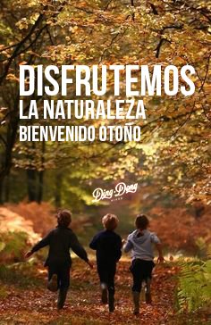 DingDongBikes's tweet photo. Disfruta la Naturaleza y Diviértete / Enjoy Nature And Have Fun. https://t.co/awfJNF2h8A