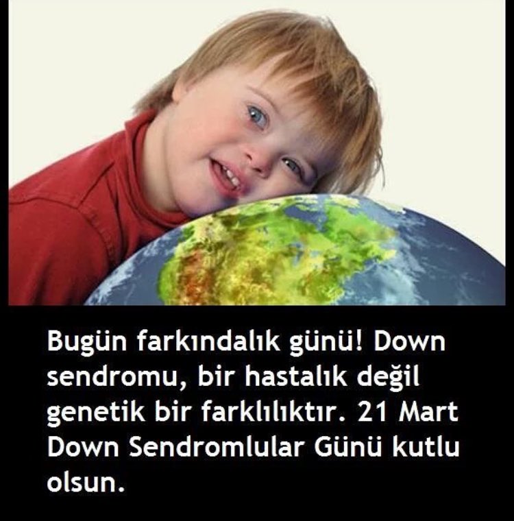 Team Nova (@teamnovafll) on Twitter photo 