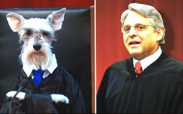 Mollie is the obvious choice. #doggarland