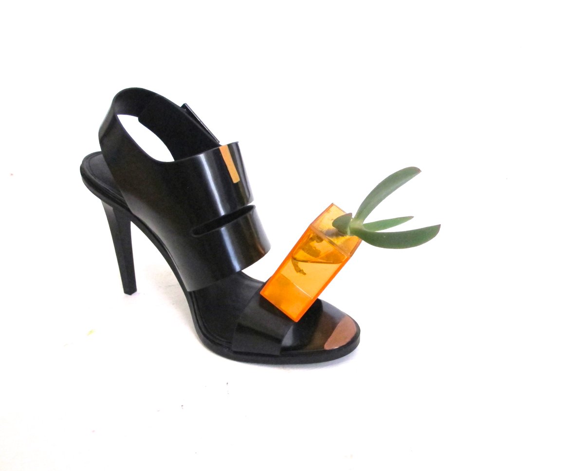 Biomima_Hub's tweet photo. o2shoe - shoes with living plants #bionicdesign #honevo #bioart #bioarte #biomima #o2shoes #o2 #oxygen #o2shoe #art https://t.co/5lIyrGHH69