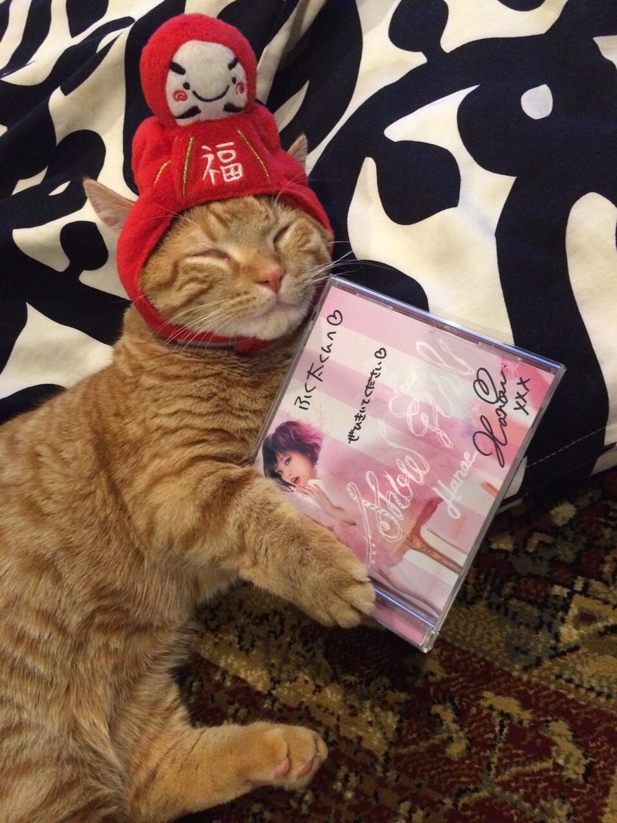 にゃあにゃあず公式 (@nyanyasofficial) / Posts / X