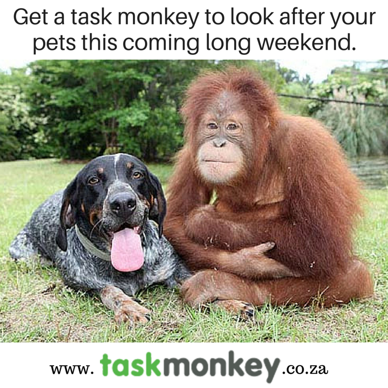 TaskMonkeyZA's tweet photo. Going away for the long weekend? Need someone to look after your pets? Get a Task Monkey. #TasksMustFall #TaskMonkey https://t.co/sXvpu8M078