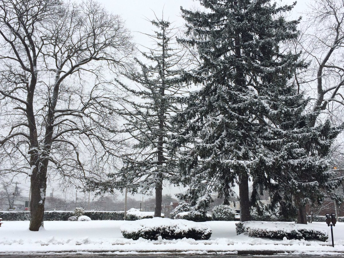 Happy first day of spring...