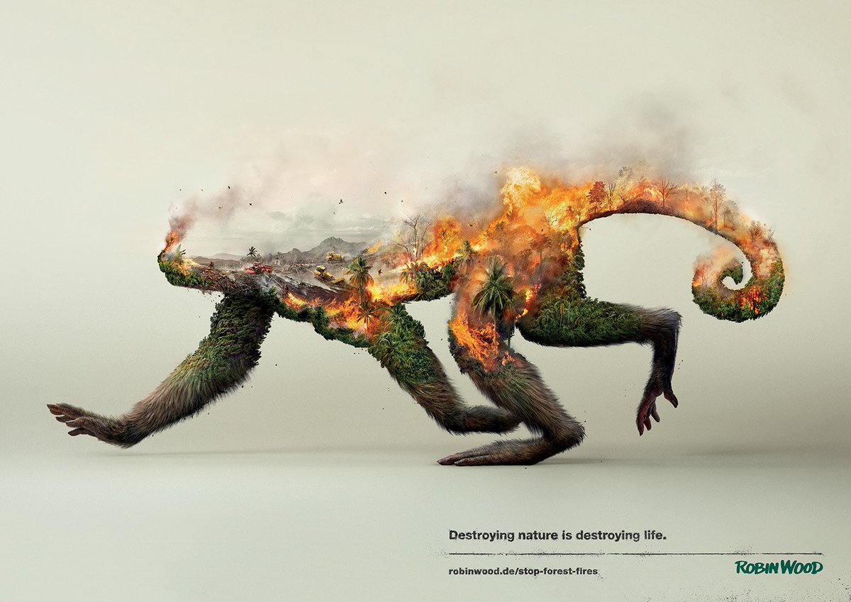 peaxwebdesign's tweet image. Awesome work for the campaign  Destroying Nature is Destroying Life
behance.net/gallery/348533…