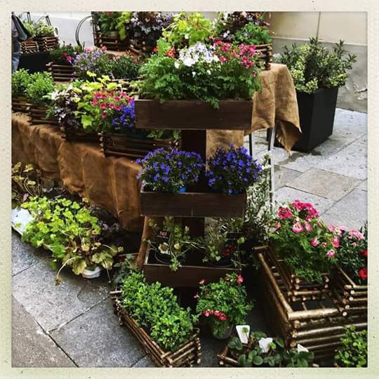 tscroce's tweet photo. #Modenainfiore #springtime https://t.co/LDUONigvhf