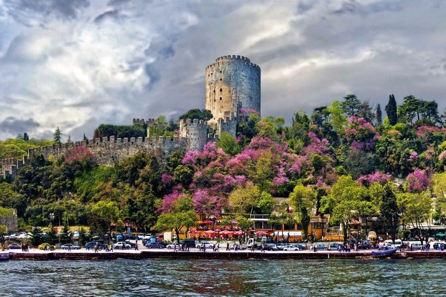 bunkhostels's tweet photo. Happy first day of spring from Bunk Hostels #firstdayofspring #istanbul https://t.co/0Nqf8yzrAI