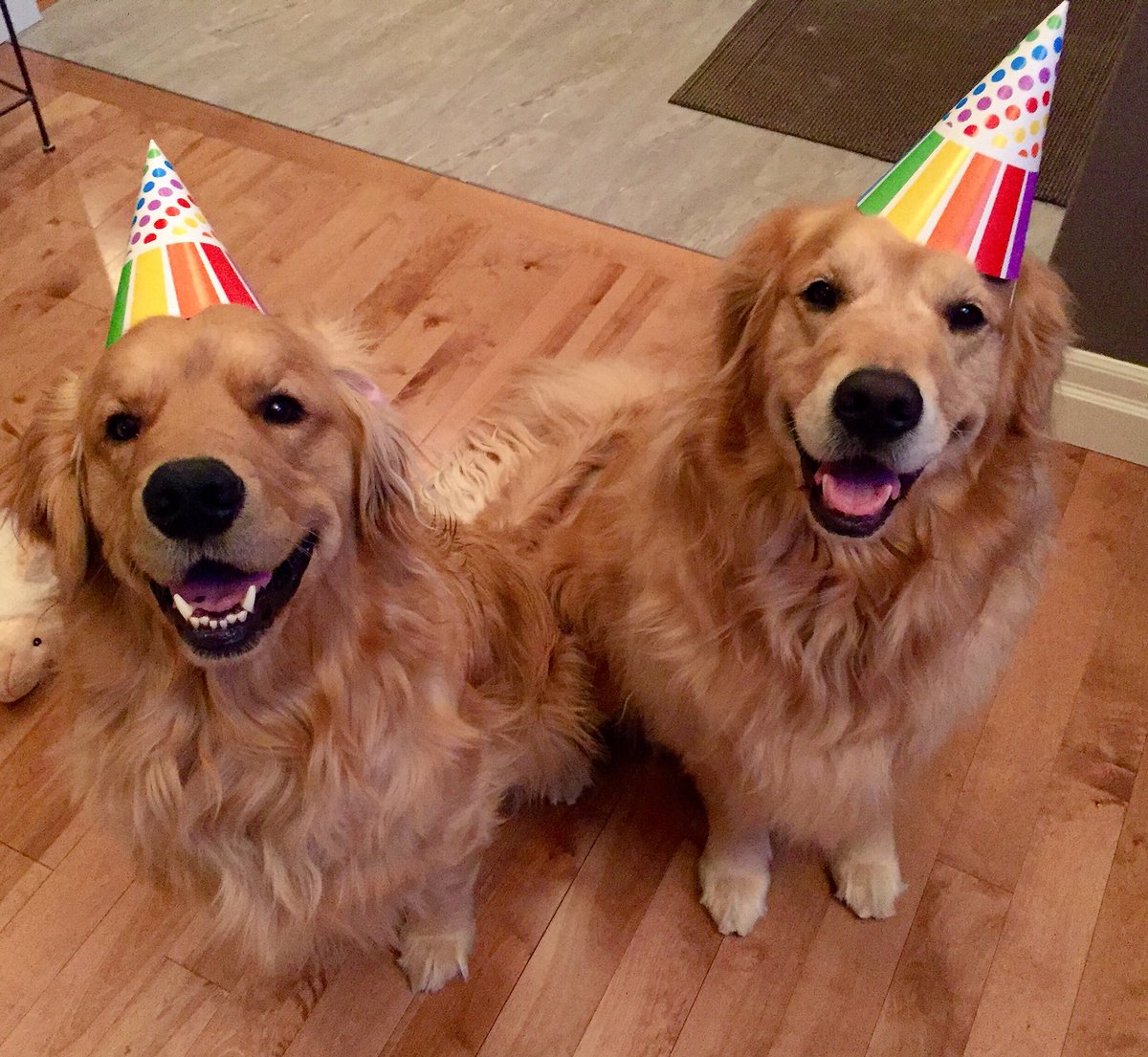 lynn2wine's tweet photo. Happy birthday to the best Big Bro a 'Lil Bro could ever ask for ❤️🎉🎈🎁
I love you, Big Bro 🎊🎏💞🎈🎉🎏💞 https://t.co/PzCe1KD8NY