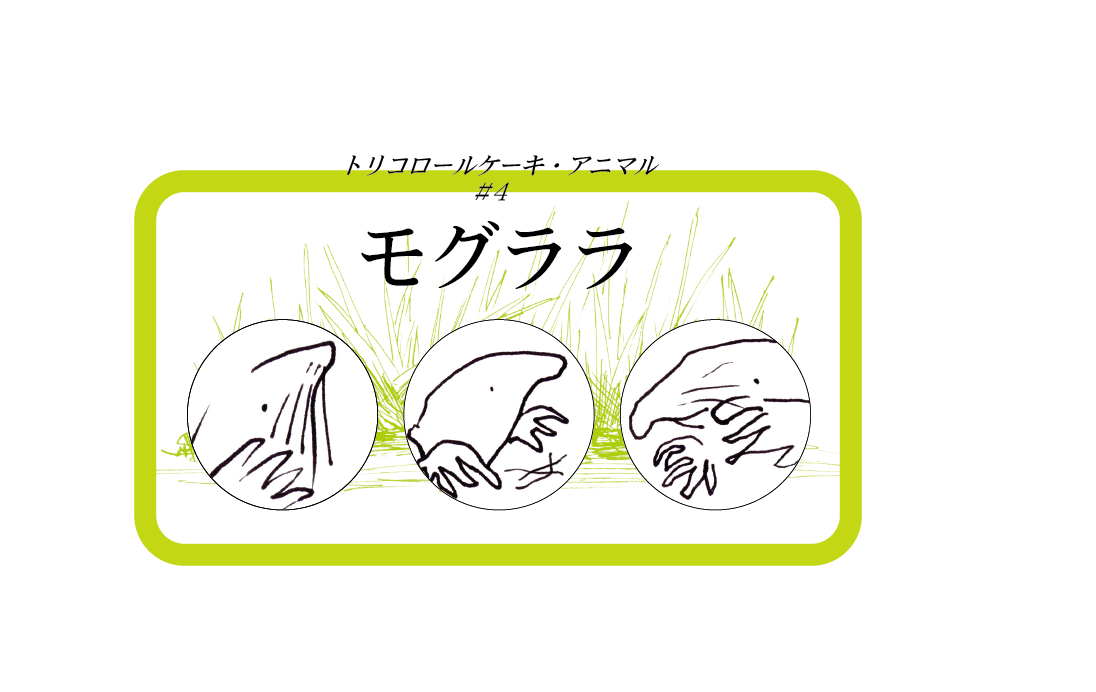 ＼ご予約開始してます／
トリコロールケーキ『モグララ』の詳細・ご予約はトリコロールケーキ公式HPからどうぞ。今田＆今泉氏のトークイベントご予約も同ページにて！
toricoro.com