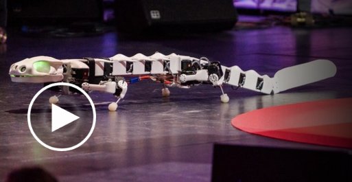 IDECorp's tweet image. #problemfinding is as important as #problemsolving. Design thinking inspired by nature. ow.ly/YRaqW #pbl