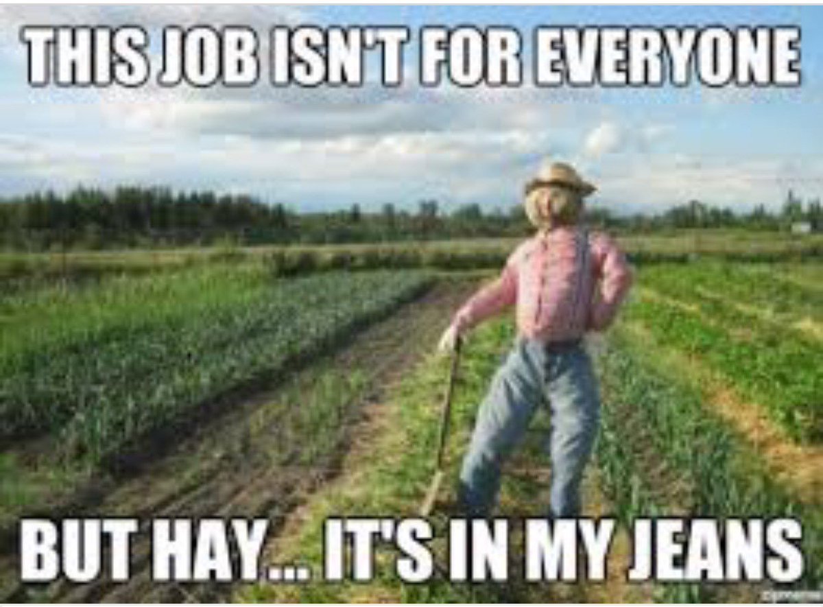 ClothComedy's tweet photo. Get over the Monday job related blues! #gigglegallery #clothcomedy https://t.co/XZRSG4DID5