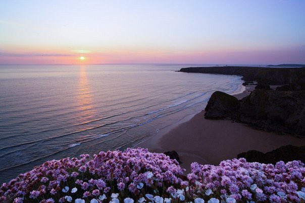 radnature's tweet photo. Good morning ☀️🌻 https://t.co/p4xczKRBkk