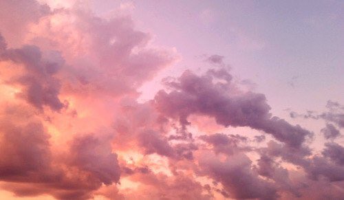 radnature's tweet photo. Good morning ☀️🌻 https://t.co/p4xczKRBkk