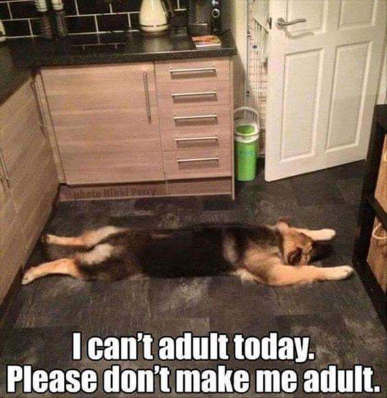 h_duggins's tweet photo. #currentmood #notreadyfortoday #needcoffeelikenow https://t.co/QXPMPeD4pR