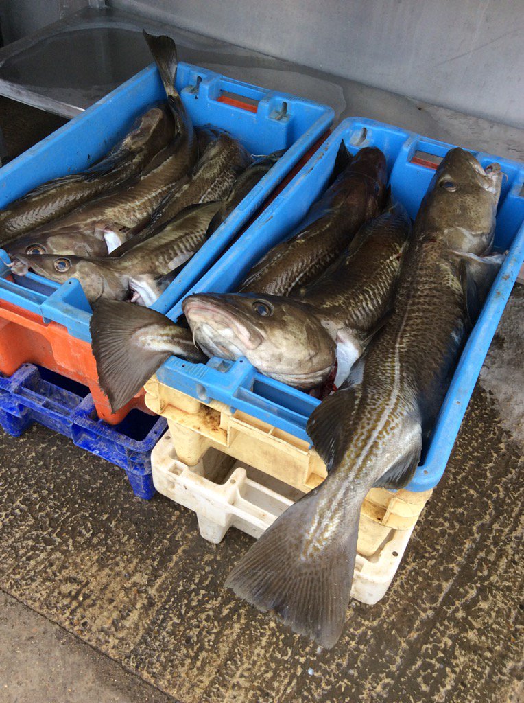AldeburghMarket's tweet photo. You want fresh cod and chips - we've got it! #aldeburgh #localfish #deanfryer #codnchips https://t.co/jMdg6VhpII