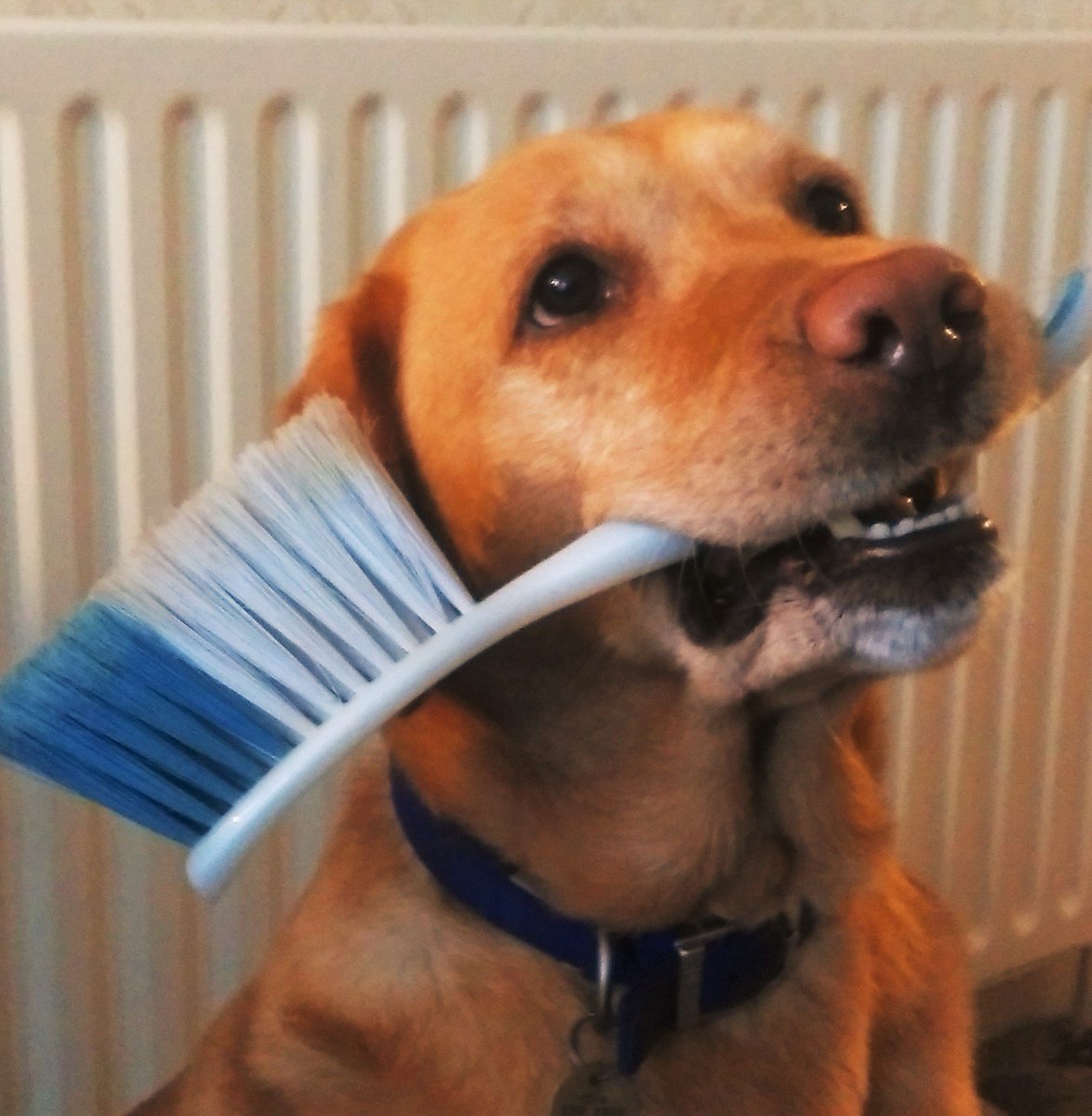 This holiday cottage cleaning is fun, but I need some help. Part time vacancies, Bakewell area, call 0114 258 6375