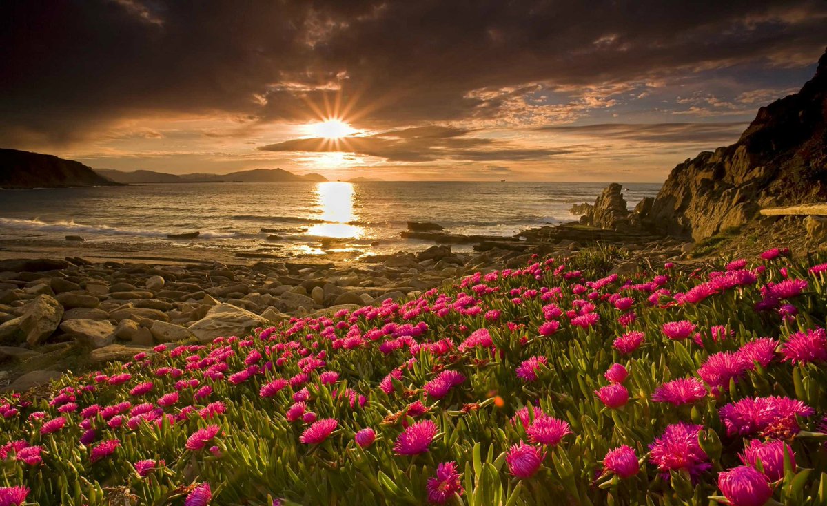 MaralaScott's tweet image. Use challenges as markers to remind you that you're close to your goals. Don't let it stop you. You're almost there!