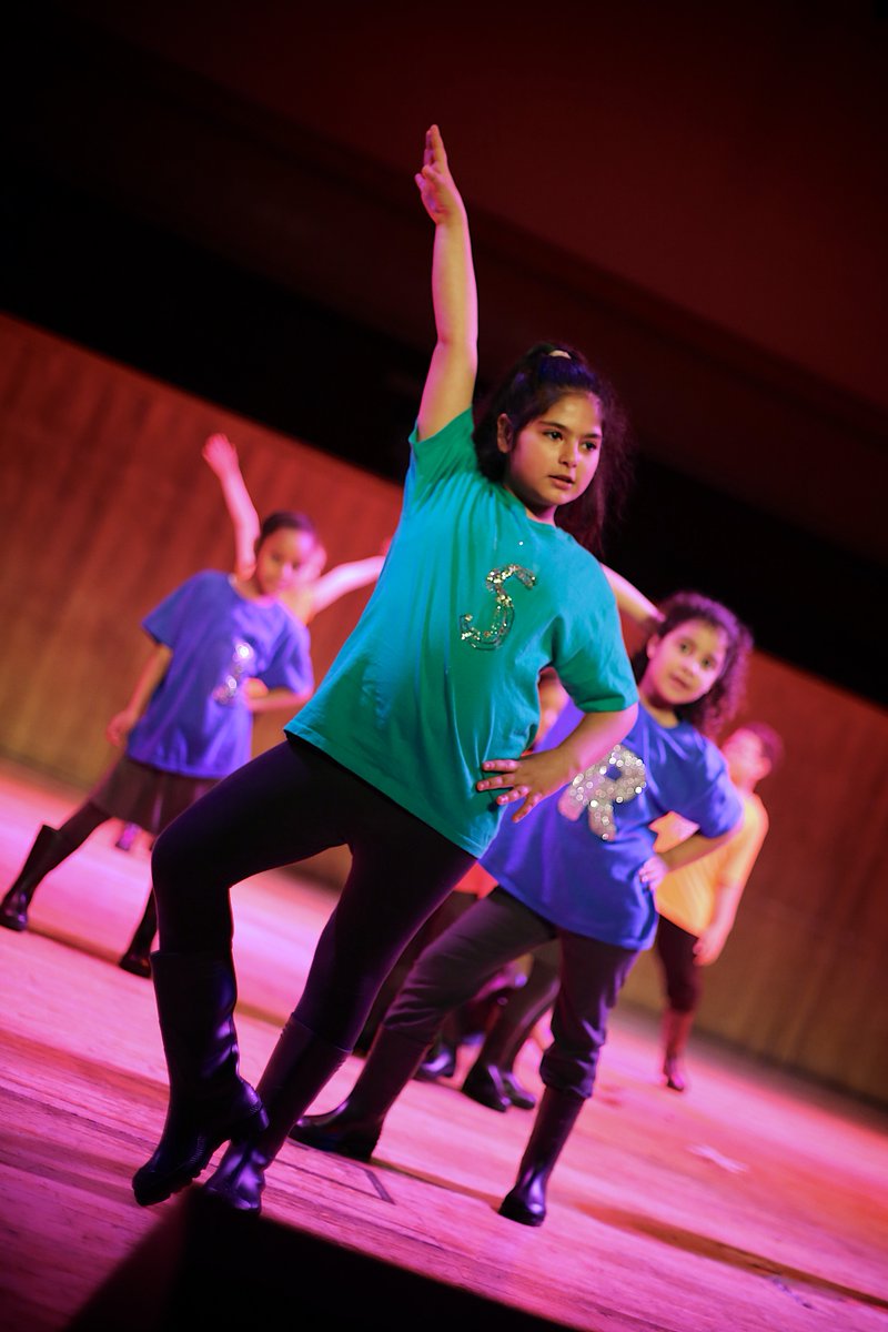 Ark Oval Primary tweet media