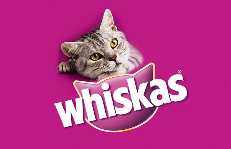 petsdirectuk's tweet photo. Buy Whiskas cat food &amp; treats from only £5.40! Browse our wide range of products at https://t.co/iVPxYqWxlq https://t.co/uQIBZZXAtV