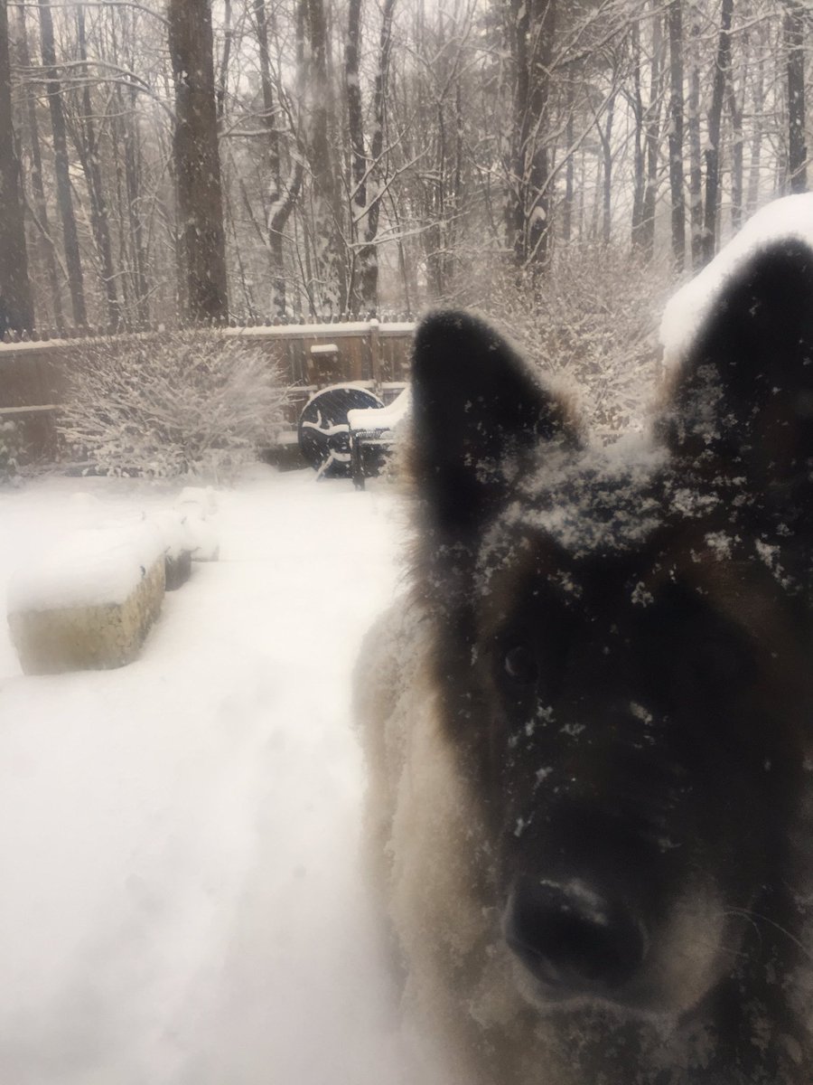 jmwtweets's tweet image. Happy #SeconddayofSpring from bright and sunny Maine!