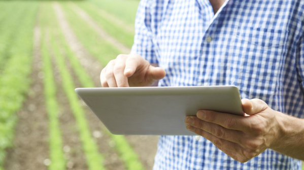 “Las innovaciones en el sector agro vendrán de la mano de Internet”  
lahuertadigital.es/las-innovacion…
vía <a href="/huerta_digital/">La Huerta Digital 📱</a>