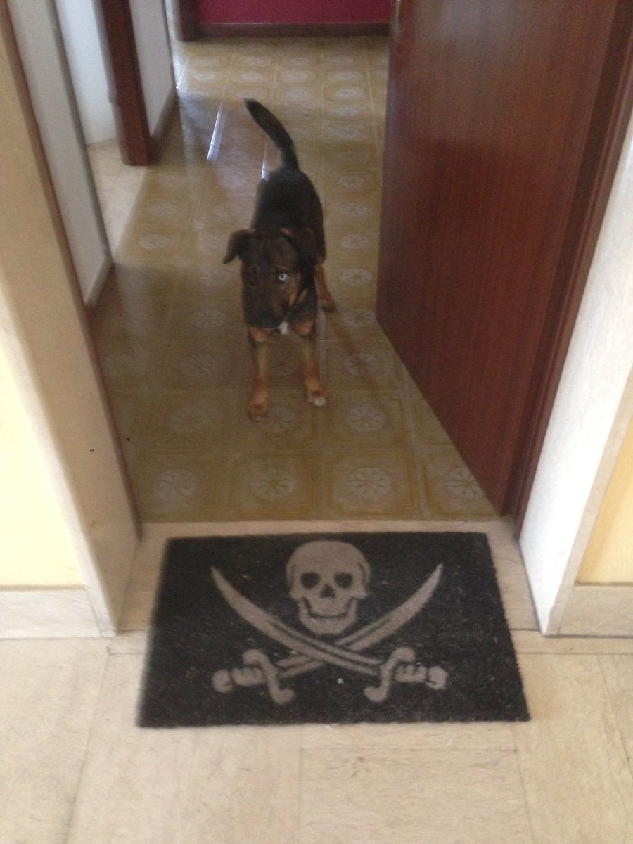 hailcock's tweet photo. Lucifer at home. #BarebackPride https://t.co/arEjNzkZWl