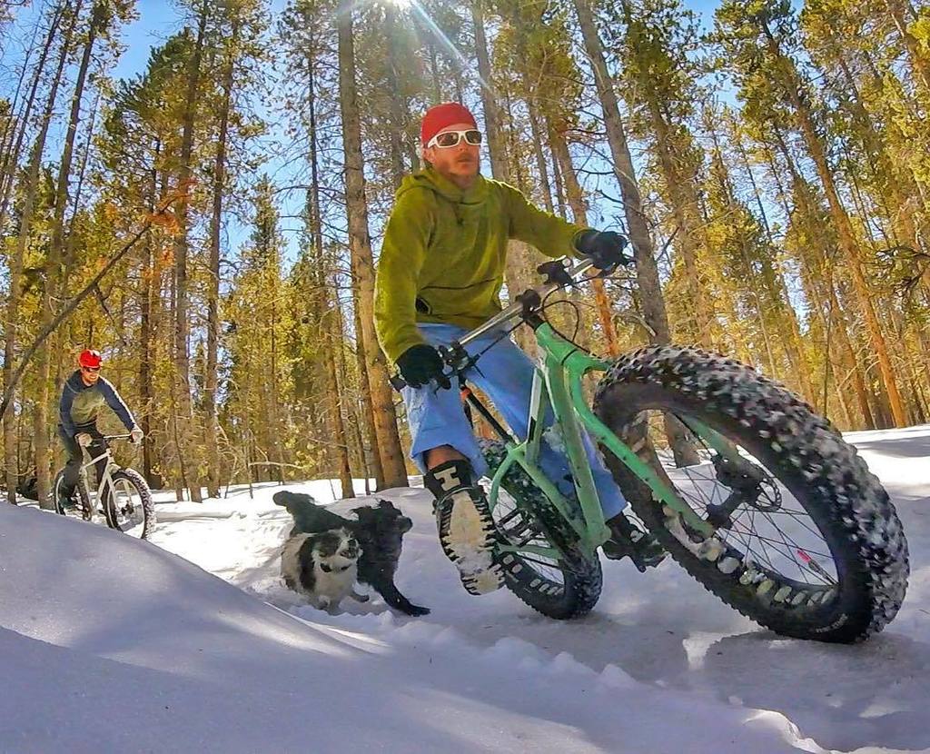 TuttoMTB's tweet photo. e.cutlip / Braaapin' with the dogs on the first day of spring #spring #stoke #singlespeed #singletrack #simplepleas… https://t.co/6Ml0ROPpOc