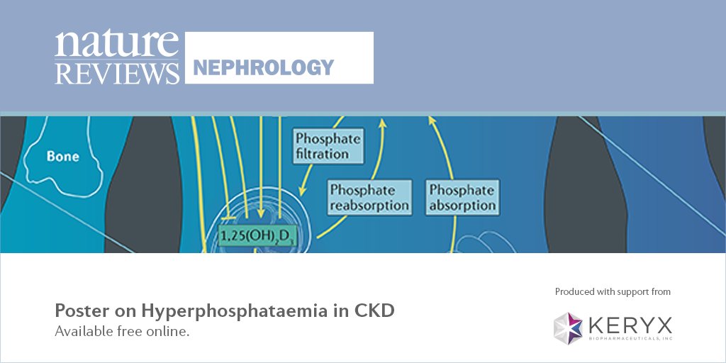 NatRevNeph's tweet image. New online! Our #FREE poster outlines the pathophysiology of #hyperphosphataemia in #CKD bit.ly/1P1uFmj