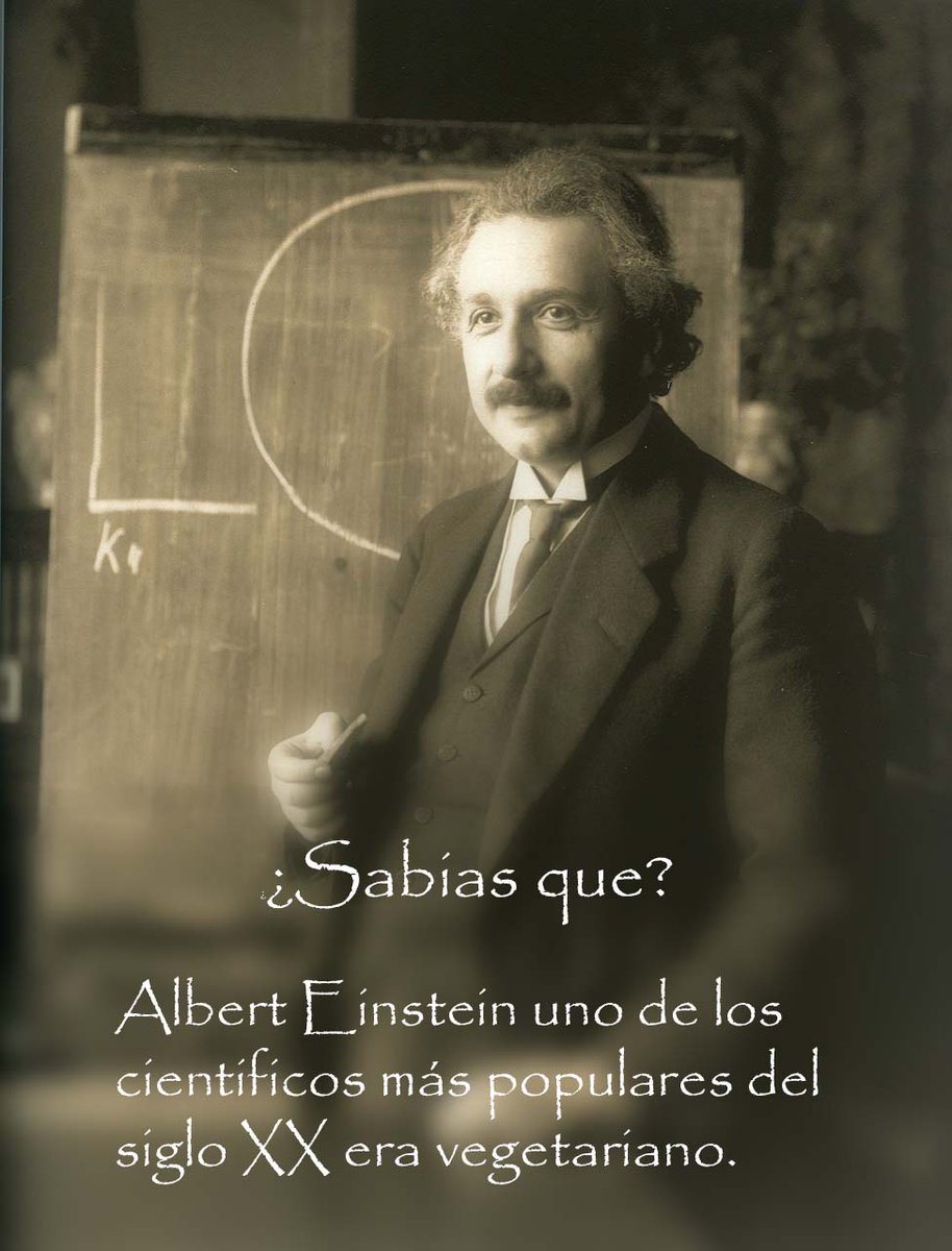veganoki's tweet photo. ¡Hoy estrenamos nueva sección "Personajes Célebres"!
Y toca Albert Einstein
https://t.co/NWvAoMW5im https://t.co/WWPNF0T4Wi