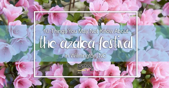 TravelWithMeTo's tweet photo. #NCAzaleaFest in #WilmingtonNC! Read all about it: https://t.co/3smjsZq76d @NCAzaleaFest @CityofWilm @WilmDowntown https://t.co/U5jFlODDq9