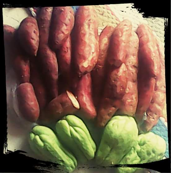 ArudAzia's tweet photo. #CarrotManIgorotPride 

Good for the health...
Marami ganito sa barlig...free pa.. https://t.co/DPbqIkivxK
