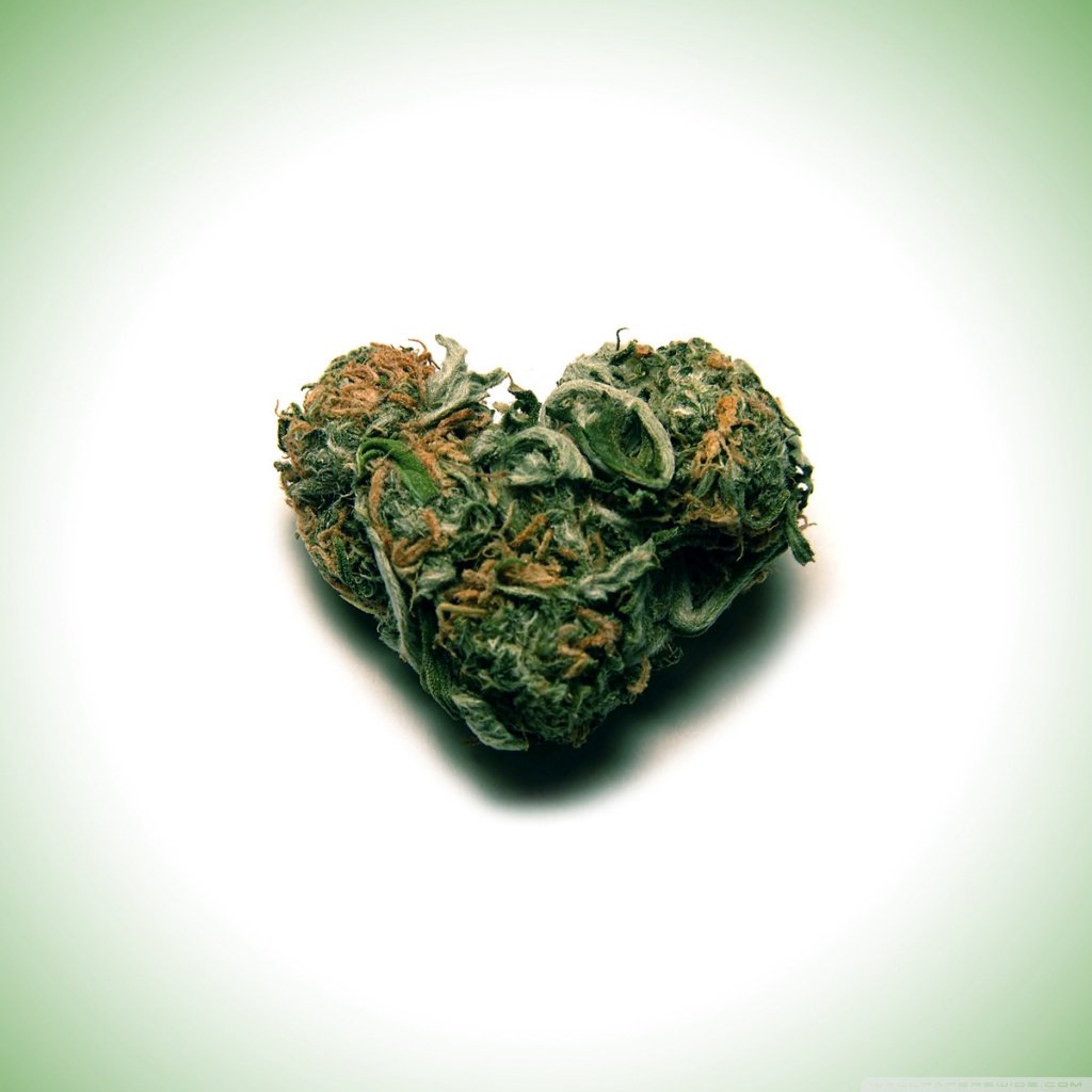 PotBlogger tweet picture