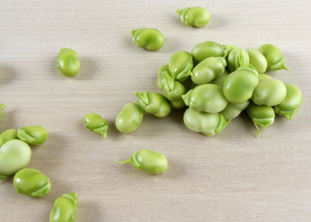 Diguesblat tweet media