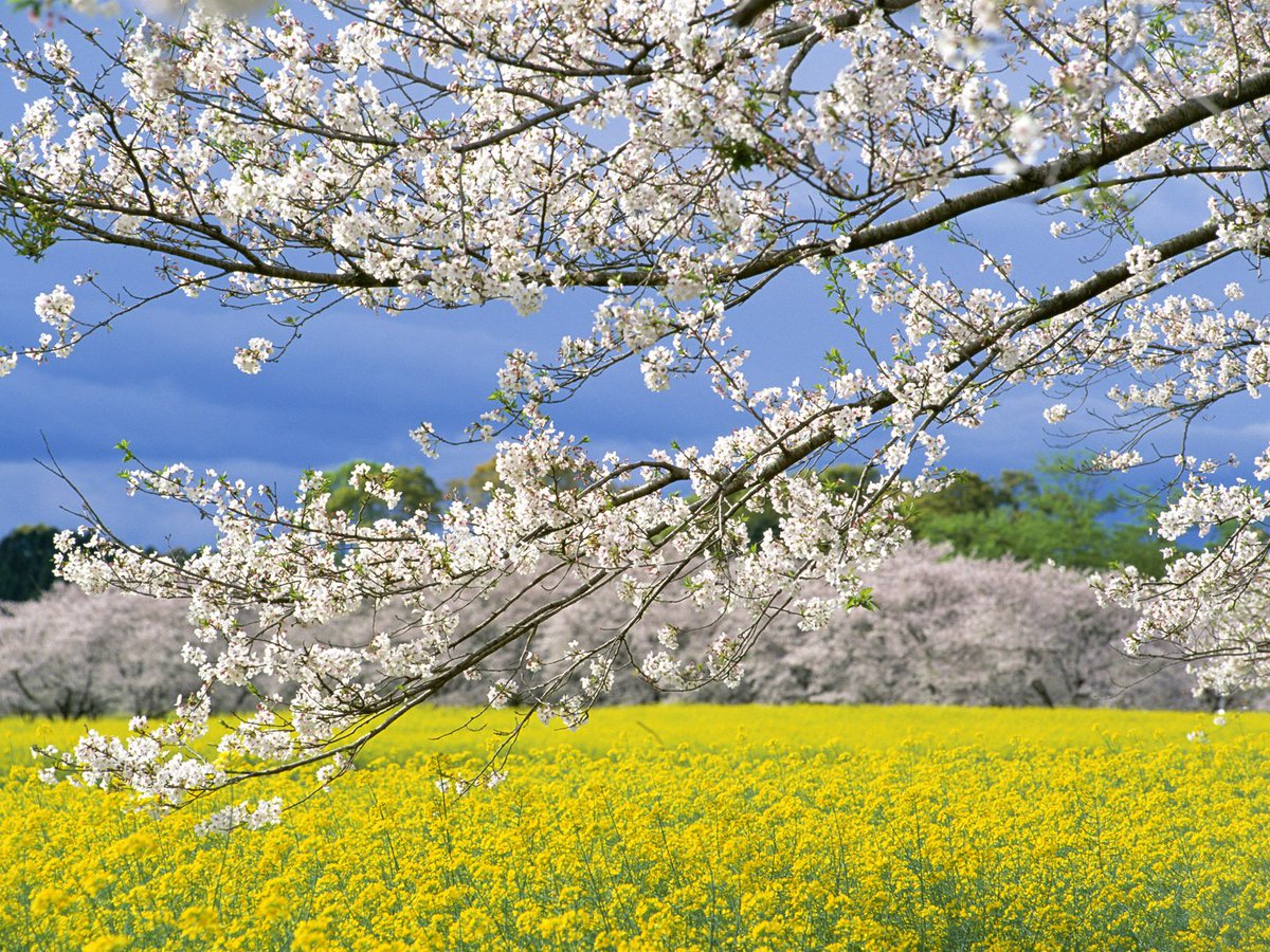jabonespirineo's tweet photo. Bienvenida #Primavera, te estábamos esperando. ツ
https://t.co/v3UWl2ZeZo https://t.co/i9K1yaIGzr