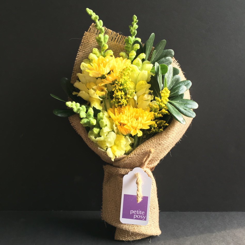 petiteposyny's tweet photo. Today's Posy: Snap Dragon, Solidaster and Chrysanthemum with Gree... #florist #manhattan  https://t.co/T6lPbtcc92 https://t.co/Lal3YkaLkx