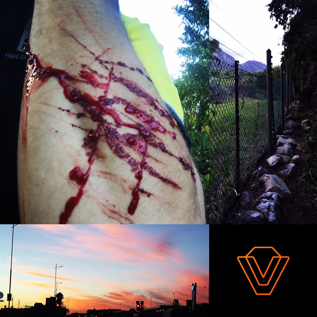 ViperSolutions tweet media